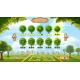 Chateau Garden - Platforma Steam cd-key
