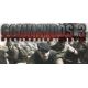 Commandos: Collection - Platforma Steam cd-key