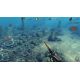 Depth Hunter 2: Ocean Mysteries DLC - Platforma Steam cd-key
