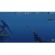 Depth Hunter 2: Ocean Mysteries DLC - Platforma Steam cd-key