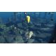 Depth Hunter 2: Treasure Hunter DLC - Platforma Steam cd-key