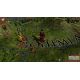 Europa Universalis IV - Evangelical Union Unit Pack (DLC) - Platforma Steam cd-key