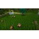 Fallen Mage - Platforma Steam cd-key