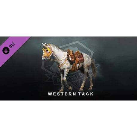 METAL GEAR SOLID V: THE PHANTOM PAIN - Western Tack DLC - Platforma Steam cd-key