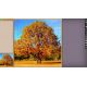 Pixel Puzzles Ultimat - Puzzle Pack: New England Fall (DLC) - Platforma Steam cd-key