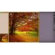 Pixel Puzzles Ultimat - Puzzle Pack: New England Fall (DLC) - Platforma Steam cd-key