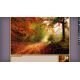 Pixel Puzzles Ultimat - Puzzle Pack: New England Fall (DLC) - Platforma Steam cd-key