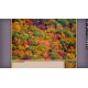 Pixel Puzzles Ultimat - Puzzle Pack: New England Fall (DLC) - Platforma Steam cd-key