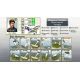 Sid Meier's Ace Patrol - Platforma Steam cd-key