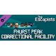 The Escapists - Fhurst Peak Correctional Facility (DLC) - Platforma Steam cd-key