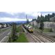 Train Simulator - BR 266 Loco Add-On (DLC) - Platforma Steam cd-key