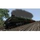 Train Simulator - Class A4 Pacifics Loco Add-On (DLC) - Platforma Steam cd-key