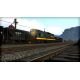 Train Simulator - D&RGW SD9 Loco Add-On (DLC) - Platforma Steam cd-key