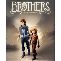 Brothers: A Tale of Two Sons - Platformy Steam cd-key
