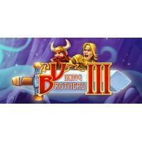 Viking Brothers 3 (Collectors Edition) - Platforma Steam cd-key