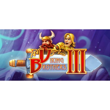 Viking Brothers 3 (Collectors Edition) - Platforma Steam cd-key