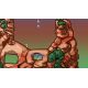 Worms Reloaded - Puzzle Pack (DLC) - Platforma Steam cd-key