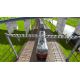 Train Fever