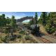 Transport Fever