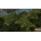 Paradox Grand Strategy Collection