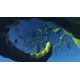 Grow Home EU - Platforma Steam cd-key