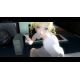 Catherine Classic