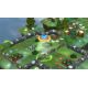 FLOCK! - Platforma Steam cd-key
