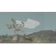 Shelter - Platforma Steam cd-key