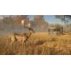 theHunter™: Call of the Wild - Tents & Ground Blinds DLC - Platforma Steam cd-key