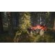 theHunter™: Call of the Wild – ATV SABER 4X4 DLC - Platforma Steam cd-key