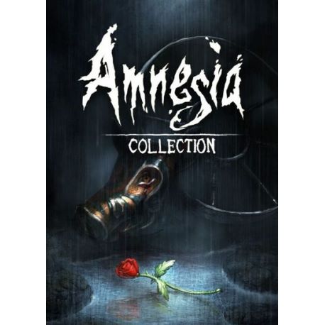 Amnesia Collection - Platforma Steam cd-key
