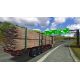Euro Truck Simulator - Platforma Steam cd-key