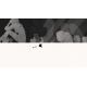 GRIS - Platforma Steam cd-key