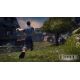 Fable Anniversary - Platforma Steam cd-key