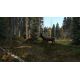 DayZ
