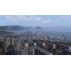 DayZ
