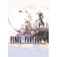 Final Fantasy V - Platforma Steam cd-key