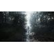 Chernobylite (early access)