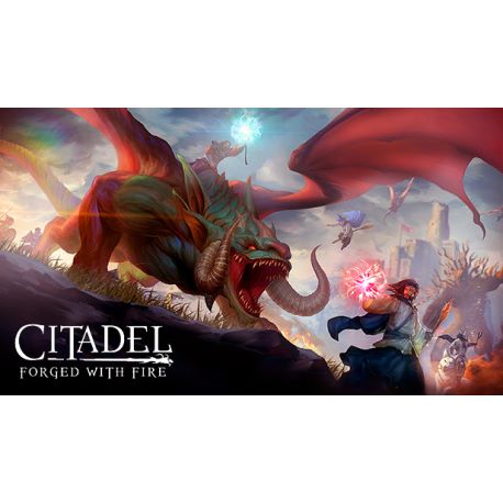 Citadel: Forged with Fire - Platforma Steam cd-key