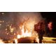 Citadel: Forged with Fire - Platforma Steam cd-key
