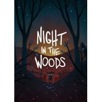Night in the Woods - Platforma Steam cd-key