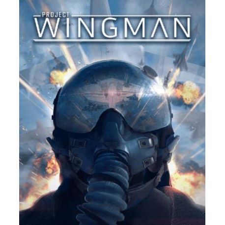 Project Wingman