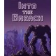 Into the Breach (Steam)