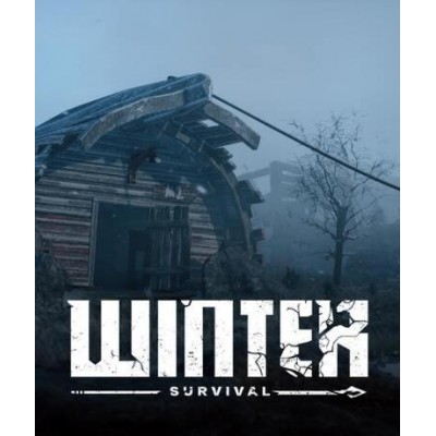 Winter Survival (Steam) (Early Access)