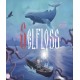 Selfloss (Steam)