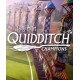 Harry Potter: Quidditch Champions (Steam)