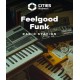Cities: Skylines II - Creator Pack: Feelgood Funk Radio (DLC) (Steam)