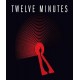 Twelve Minutes (Steam)